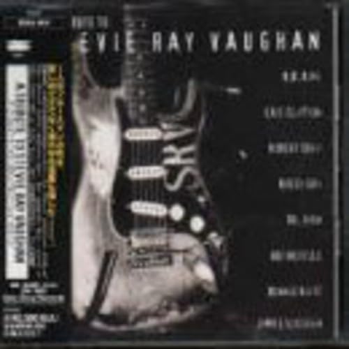 Tribute To Stevie Ray Vaughan