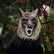 Warmhm Halloween Werwolf Kostüm Set, Horror Werwolf Kopfmaske und Klauenhandschuhe Wolf Cosplay Maske Anziehkostüm für Halloween Party