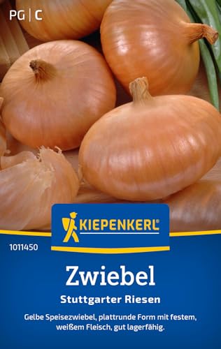 Kiepenkerl Zwiebelsamen Stuttgarter Riesen 1011450 - gelbe Speisezwiebel - plattrunde Form mit festem weißem Fleisch - Samen Gemüse Saatgut Pflanzensamen