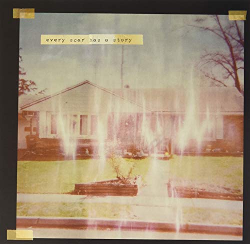 Ever Scar Has A Story