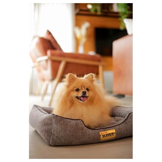 Luppet Cama Com Colchão Removivel Para Cachorro Ou Gato Até 5Kg Cinza Helsinki Tam. GG