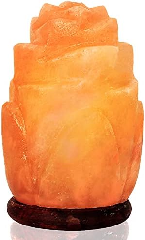 A-STAR Himalayan Rock Salt Lamp Premium Quality Wood Base Natural Crystal Hymalain Table Lamp with On and Off Switch/Dimmer