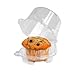 LINDAR CORPORATION Container Cupcake Hinge 1Cell Pet Clear, 25 CS