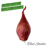 test schallplatten- und kassetten digitalisierer  That Shallot [Vinyl LP]