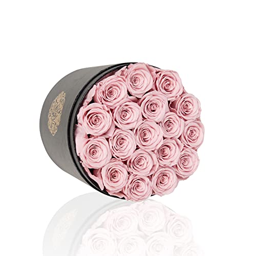 NATROSES Preserved Roses in a Box Real Roses That Last Up to 3 Years, Long Lasting Roses for Her, Preserved Flower Mothers Day Valentines Day Gifts for Her (Dusty Rose)