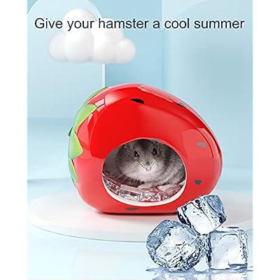 Besimple Hamster Hideout, Small Animal Hideout Ceramic Pet House, Adorable Shape Hamster House Cave Mini Hut Cage Critter Bath House for Chinchilla(Strawberry)