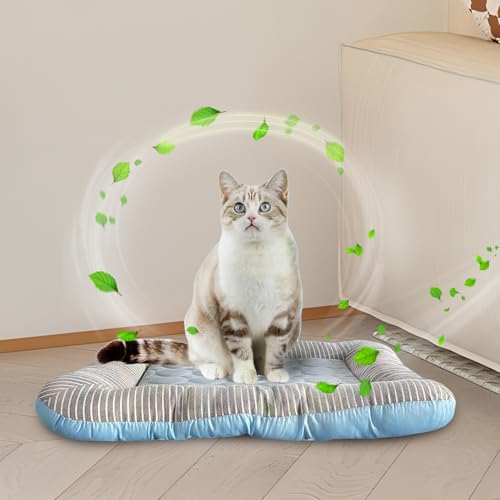 Tapis rafraîchissant pour chien coussin glacé chiot chat résistant