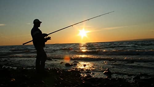 Cafurty 10Pcs Fishing Soft Plastic Lures, Minnow Crappie Lure Soft Fishing Lure Gray Lure Swim Bait Silver Carp Fish Fishing Tackle Lure Artificial Bait Split Tail Lure Set #TOP6