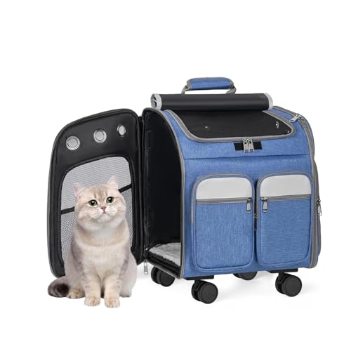 ybgL[obO L  bNJ[g bNL[ bNTbN LX^[t L[obO ybg L[ ^ e ybgpOoobO ybgpi ADFAJ[L(Blue)