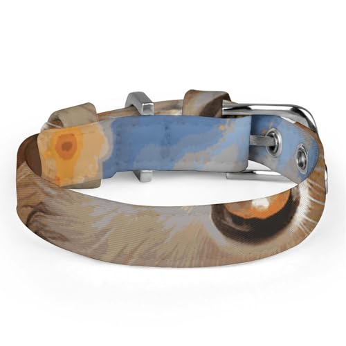 Collier réglable pour chien Corgi et chat de petite et moyenne taille