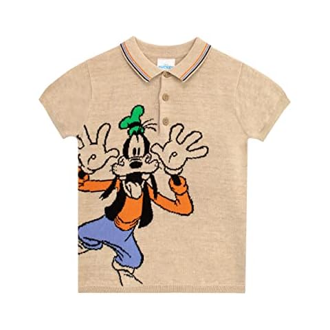 Polo Dingo Disney pour Garçons Cover