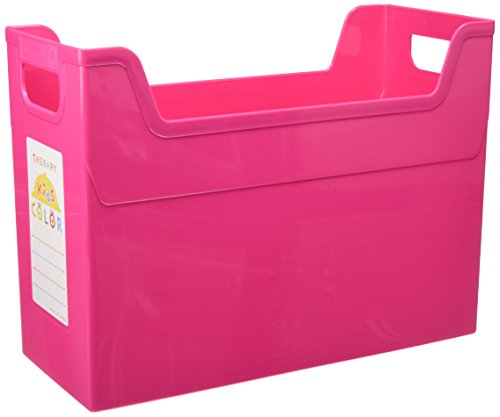 ナカバヤシ ファイルボックス 書類収納ボックス A4 ピンク フボ-TC4KP