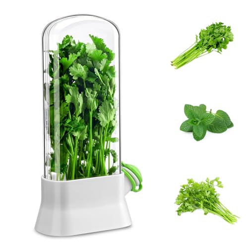 ERFGT Économiseur d'Herbes pour Réfrigérateur 15 x 7,3 x 27 cm, Boîte de Conservation d'Herbes pour Réfrigérateur, Récipient de Stockage d'Herbes, pour Coriandre, Menthe, Persil, Asperges (Blanc)