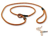 mit Zugbegrenzung Mystique® Field trial Moxonleine Retrieverleine 6mm 150cm mit Zugbegrenzung orange / rot