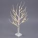 Excelvan Desk Top Bonsai Birch Twig Lighted Tree Light, Decorative Flexible Creative Colorful Light, White Branches, Perfect for Home Festival Party Wedding Christmas, Indoor & Outdoor Decoration