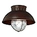VAXCEL Indoor Outdoor Ceiling Light - Harwich Burnished Bronze and Clear Seeded Glass Semi Flush Mount Light Fixture, Farmhouse, Coastal, Nautical Decor, for Carport, Front Porch, Patio, Entryway