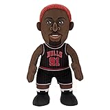 Bleacher Creatures Chicago Bulls Dennis Rodman 10" Plush Figure - an NBA Legend for Play or Display