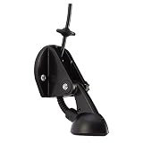 Raymarine
