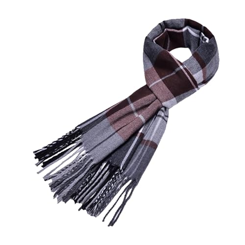 KWNXNCIGK Silk Scarf For Women Classic Winter Warm Long Shawls