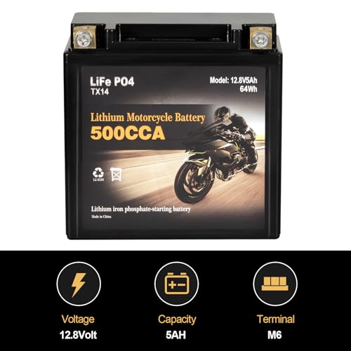 Image of Autocessking YTX14-BS Lithium Motorcycle Battery, Group 14