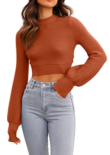 Image of Womens Sexy Crew Neck Cropped Sweaters Knit Long Sleeve Crop Tops Pullover