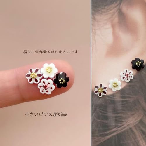 k Ԃ̃sAXD uEJ[ 4Zbg nhChsAX