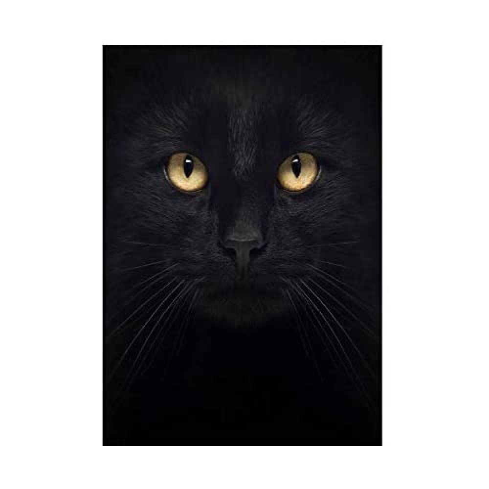 Wee Blue Coo Photo Composition Close Up Pet Black Cat Face Eyes Wall Art Print
