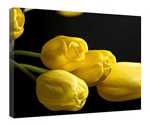 Tableau tulipes jaunes sur toile tendue premium et cadre en bois véritable 40x50