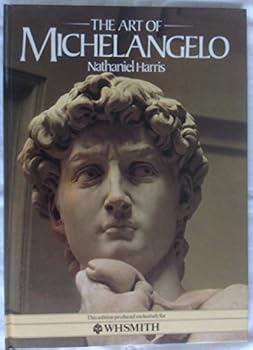 Hardcover The Art of Michelangelo Book