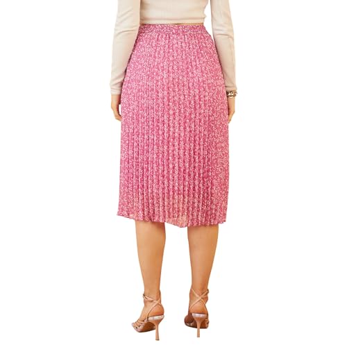 Image of Rare Chiffon Western Skirt