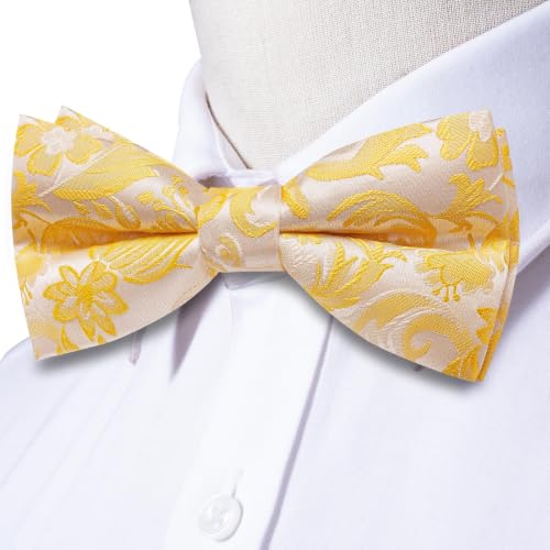 Image of Dubulle Mens Paisley Striped Bowtie Set Pre-tied Bowtie for Men and Pocket Square Set Wedding Business