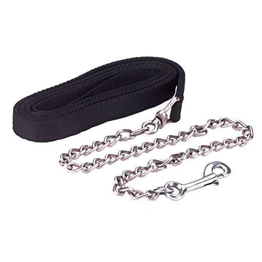 Kerbl Führleine mit Kette, schwarz, 250cm, 250 cm 7 Kerbl Führleine mit Kette, schwarz, 250cm, 250 cm