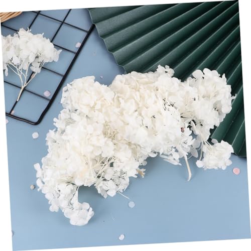 Alipis 1pack pétalos secos de hortensia blanca para manualidades miniatura 4