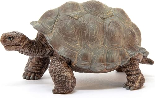 Miniatura 9 de Schleich Wild Life Tortuga Gigante 14824 Figuras De Animales Detalladas Juguete De Zoo Regalo Para Niños Y Niñas Decoración Para Cumpleaños Figura A Partir De 3 Años 8 X 4 X 4 Cm