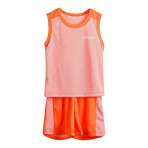 2-Piece Summer Clothes for Boys Color Block Sleeveless Tank Top & Shorts Causal Athletic Outfits Mesh Vest Sets