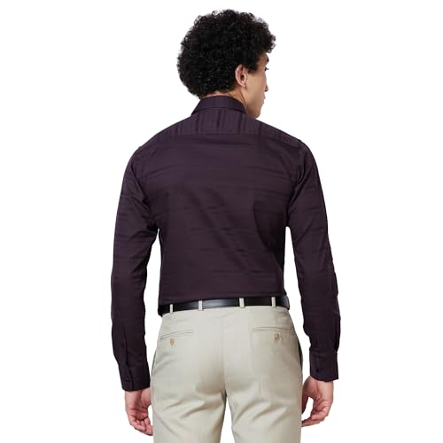Image of Park Avenue Men's Pure Cotton Stripe Pattern Slim Fit Semi Cutaway Collar Full Sleeve Formal Shirt