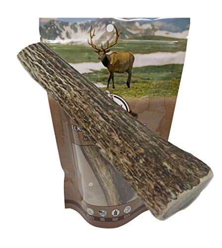 WhiteTail Naturals Whole Elk Antlers for Dogs (1 Pack Large) Natural Dog Chews