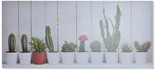 Cactus dans pot tableau toile plante grasse déco 80x35