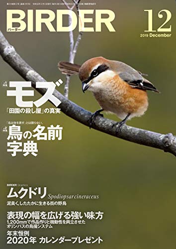 PDFダウンロード BIRDER(バーダー)2019年12月号 「田園の殺し屋」の真実 モズ/鳥の名前 字典 バイ