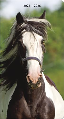 2025-2026 Horses Pocket Planner