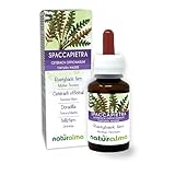 Spaccapietra o cedracca (Ceterach officinarum o Asplenium ceterach) foglie Tintura Madre analcoolica Naturalma - Estratto liquido gocce 60 ml - Integratore alimentare - Vegano