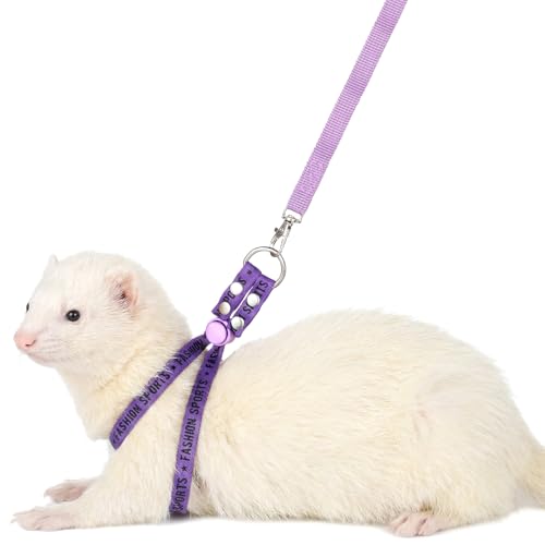 Ferret Harness and Leash Set for Small Pets
