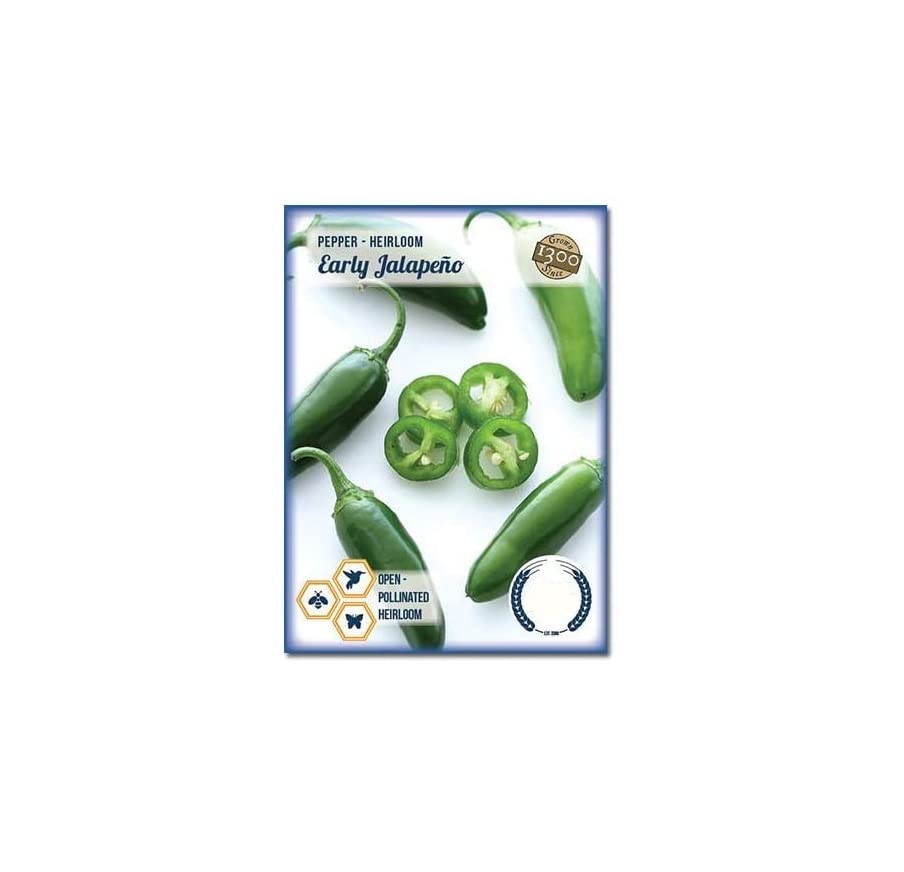 VibeX Early Jalapeno Heirloom Pepper Chilli-300 Seeds (B0B9YP9MSG) Amazon Price History, Amazon Price Tracker