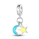 Pandach Charms Abalorios Colgante para mujer, plata de ley 925, compatible con pulseras y collares Pandora, compatible con pulseras europeas para mujeres y niñas