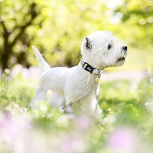 Image of Dog Collar, Cute Bee Adjustable Pet Collars Spring Soft Comfortable Cotton Puppy Collar Pink Flower Necklace Gift Collars for Large Dogs