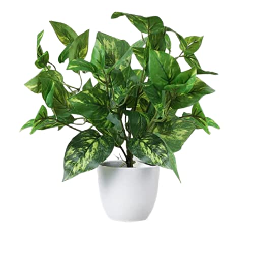 Buy Nature's Kosh Artificial Money Plant with Pot (1) Online at Low