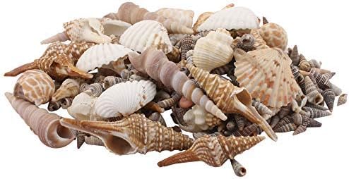 Amazing Stones Mix Pattern Sea Shells for Home Decoration and Aquarium, Brown-Cream, 1 kg