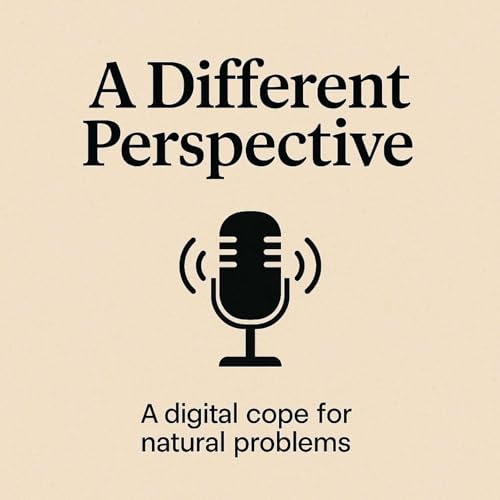 A Different Perspective cover art