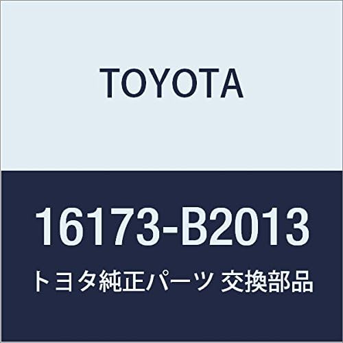 TOYOTA (toyota) Genuine Parts uxo-taponpu Pulley pikusisu Space Part Number 16173 – B2013