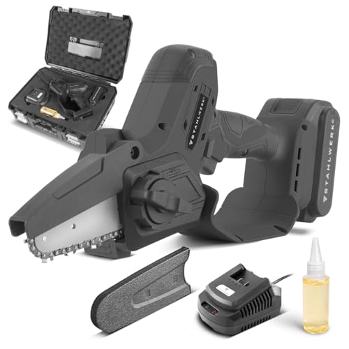 STAHLWERK Akku-Drehschlagschrauber (ADS-190 ST) – 20 V, 190 Nm, ¼ Zoll-Schnellwechsel-Bit-Aufnahme für langen Holz- & Terrassenbau (Holz- & Metallschrauben), Brushless-Technologie, Akkus & Ladegerät